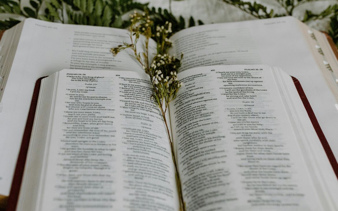 Bibel pexels tara winstead 83834141